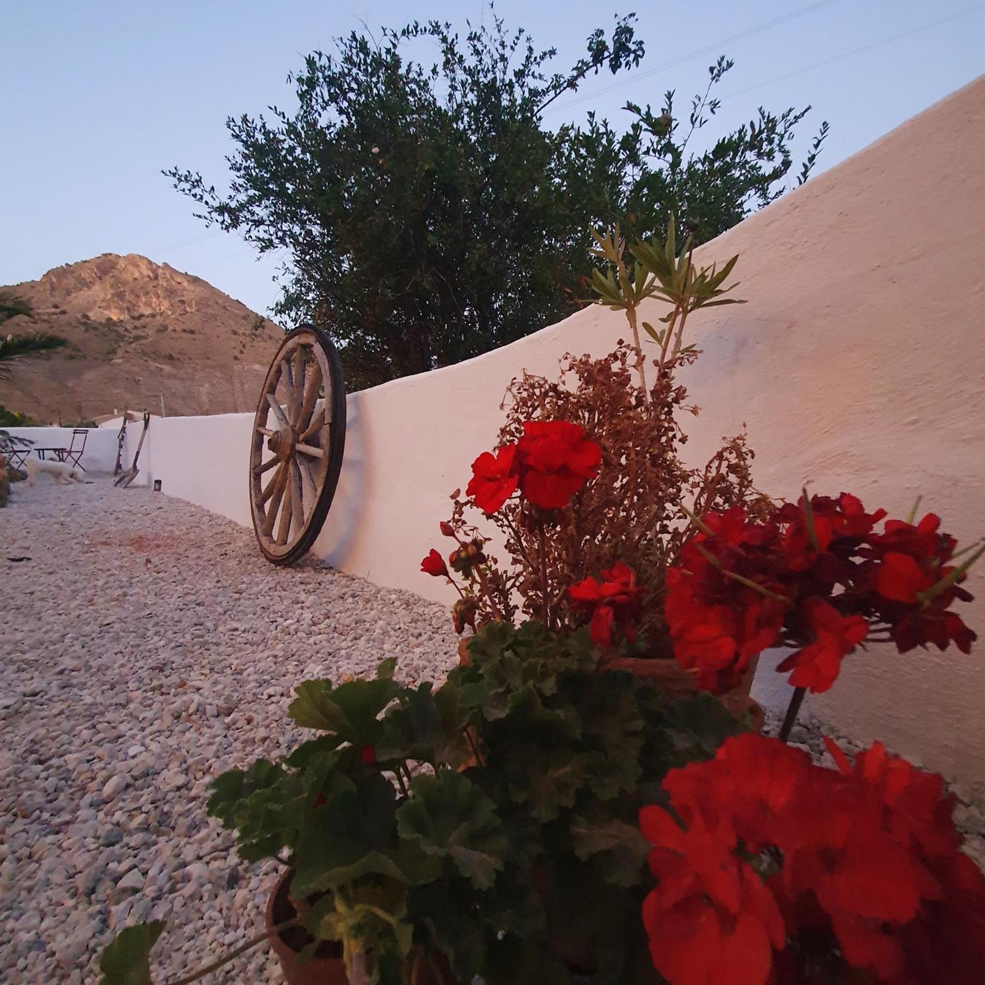Casa Satori Bed and Breakfast Oria Buitenkant foto